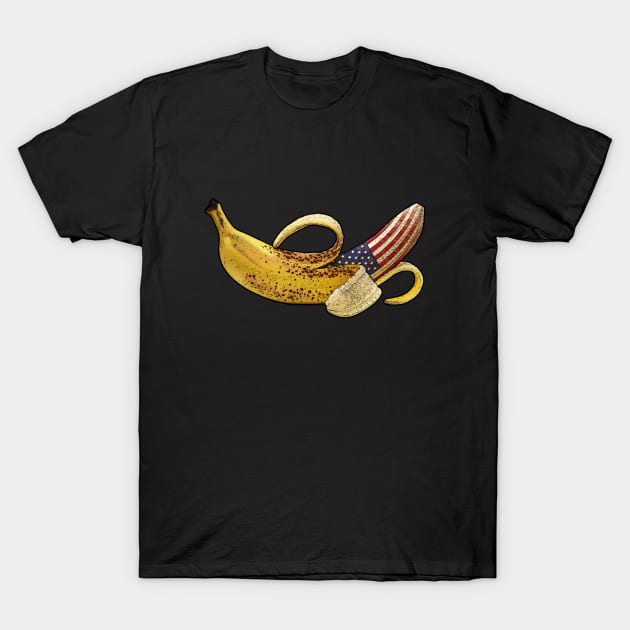 DC Riot-Capitol Hill-Banana republic T-Shirt by StabbedHeart